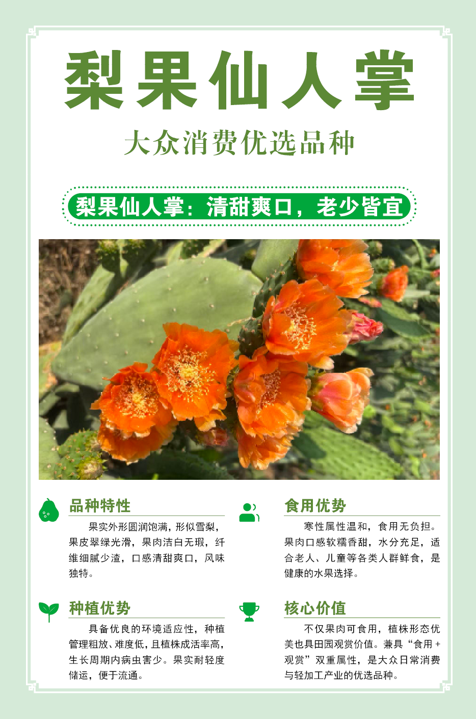 梨果仙人掌